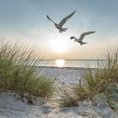 Holiday home Quartier Usedom Karlshagen